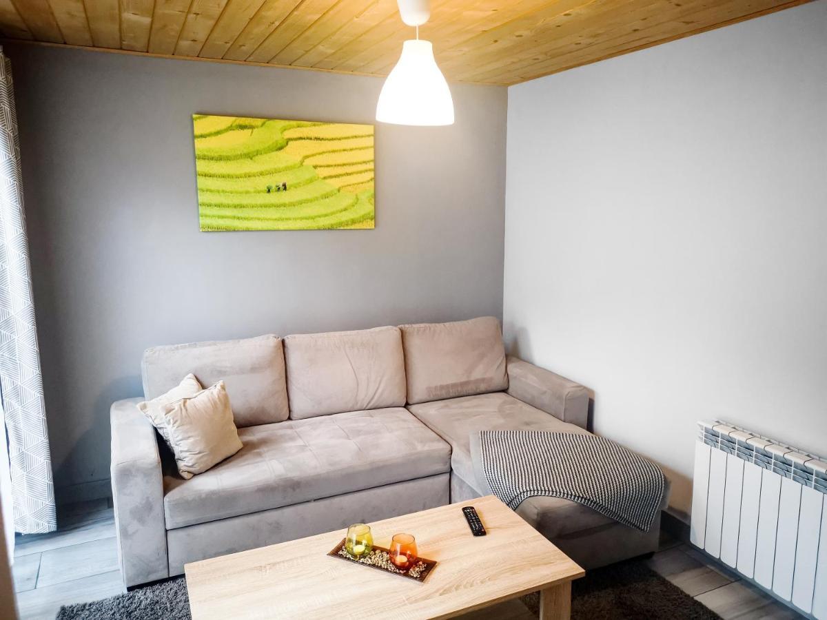 Apartamenty Mountain View - Bezplatny Parking Krynica Zdroj Eksteriør billede